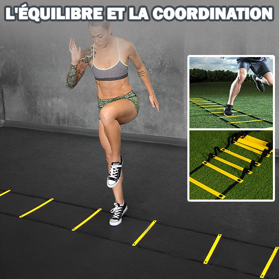 Échelle d'agilité 10M