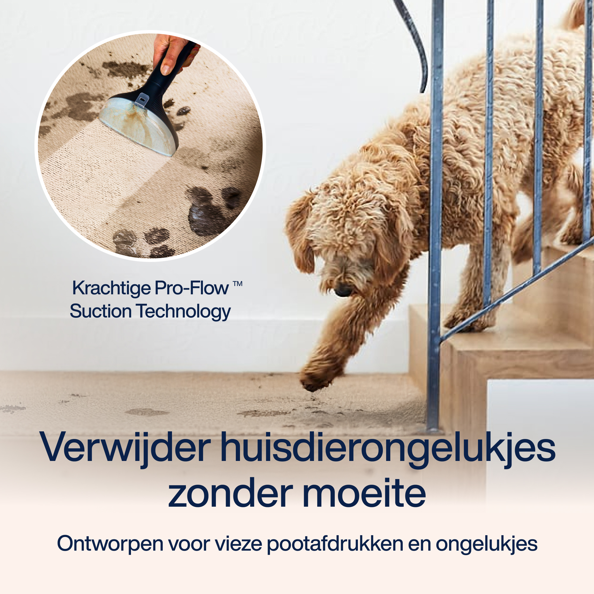 Vlekkenreiniger PowerClean Pro