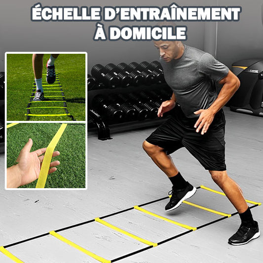 Échelle d'agilité 10M